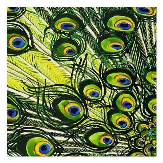 https://i.etsystatic.com/21754985/r/il/13ae65/2270277791/il_570xN.2270277791_8636.jpg
