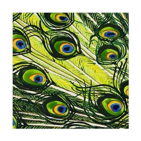 https://i.etsystatic.com/21754985/r/il/178c77/2222528876/il_570xN.2222528876_dzhf.jpg