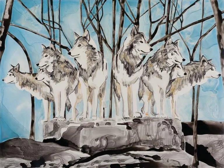   Wolf Pack   30” x 40”  Watercolor   ©Annika Connor 