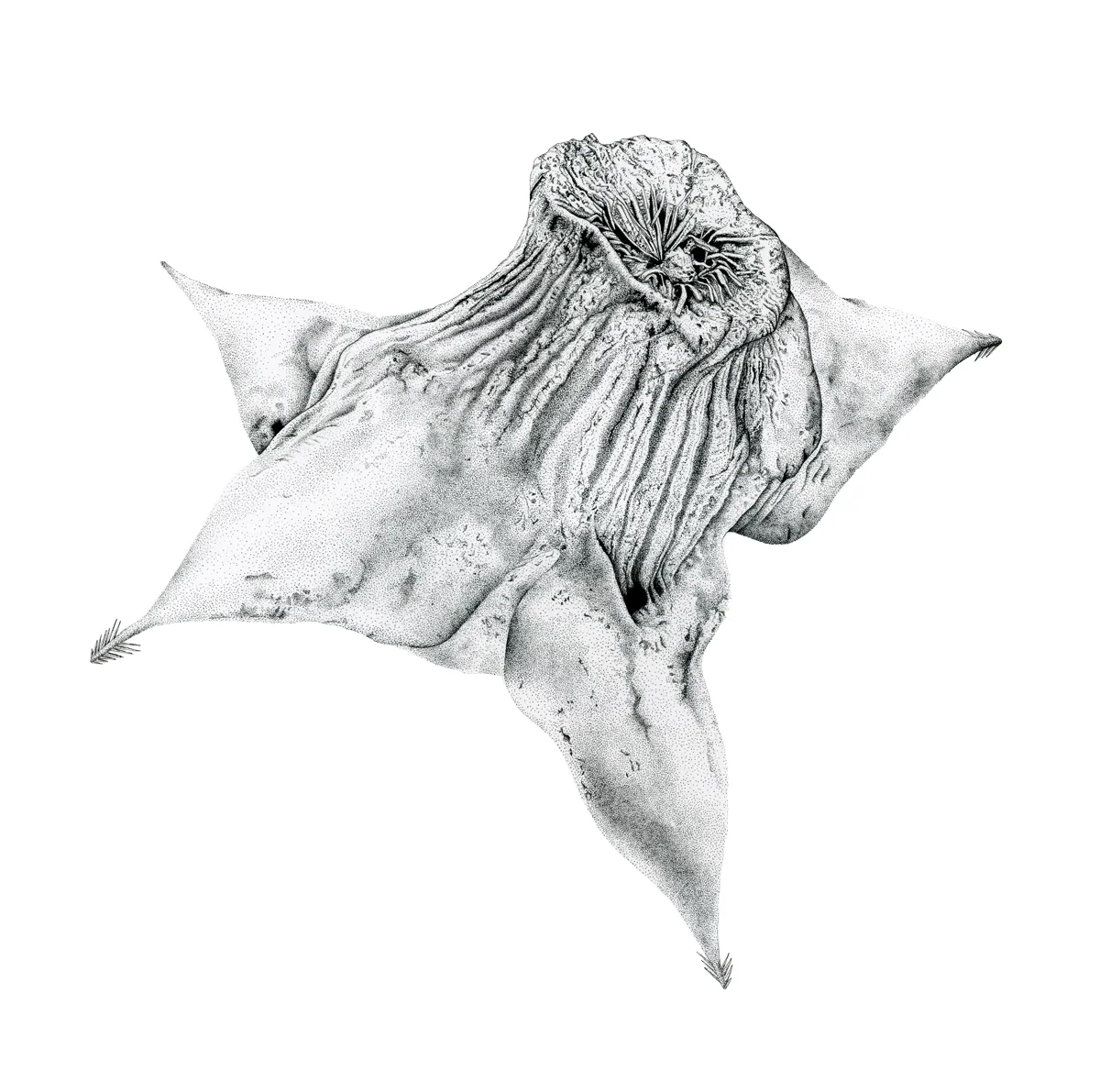 waterchestnut-kelseynollette-1200.jpg