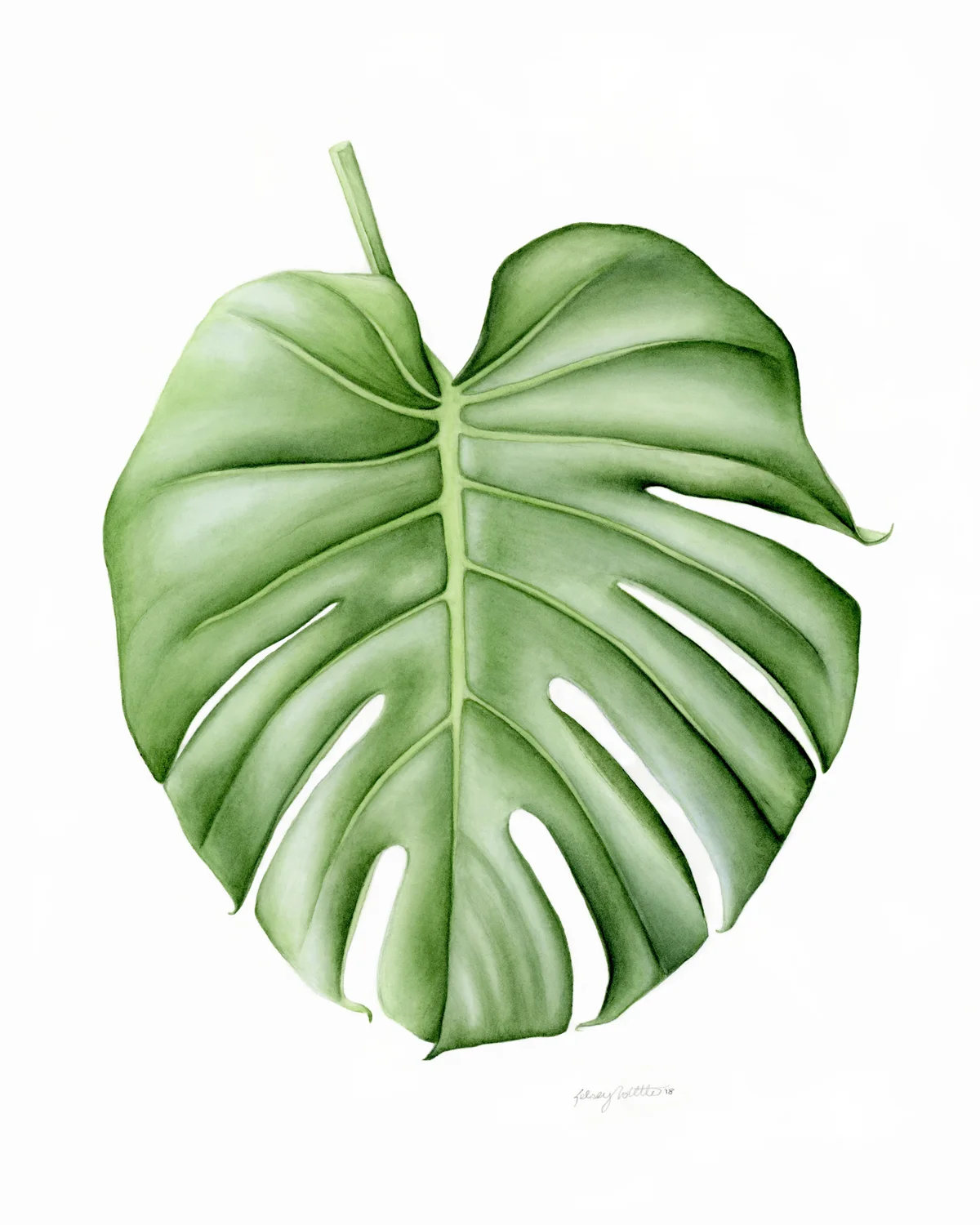 monstera-kelseynollette-1200.jpg