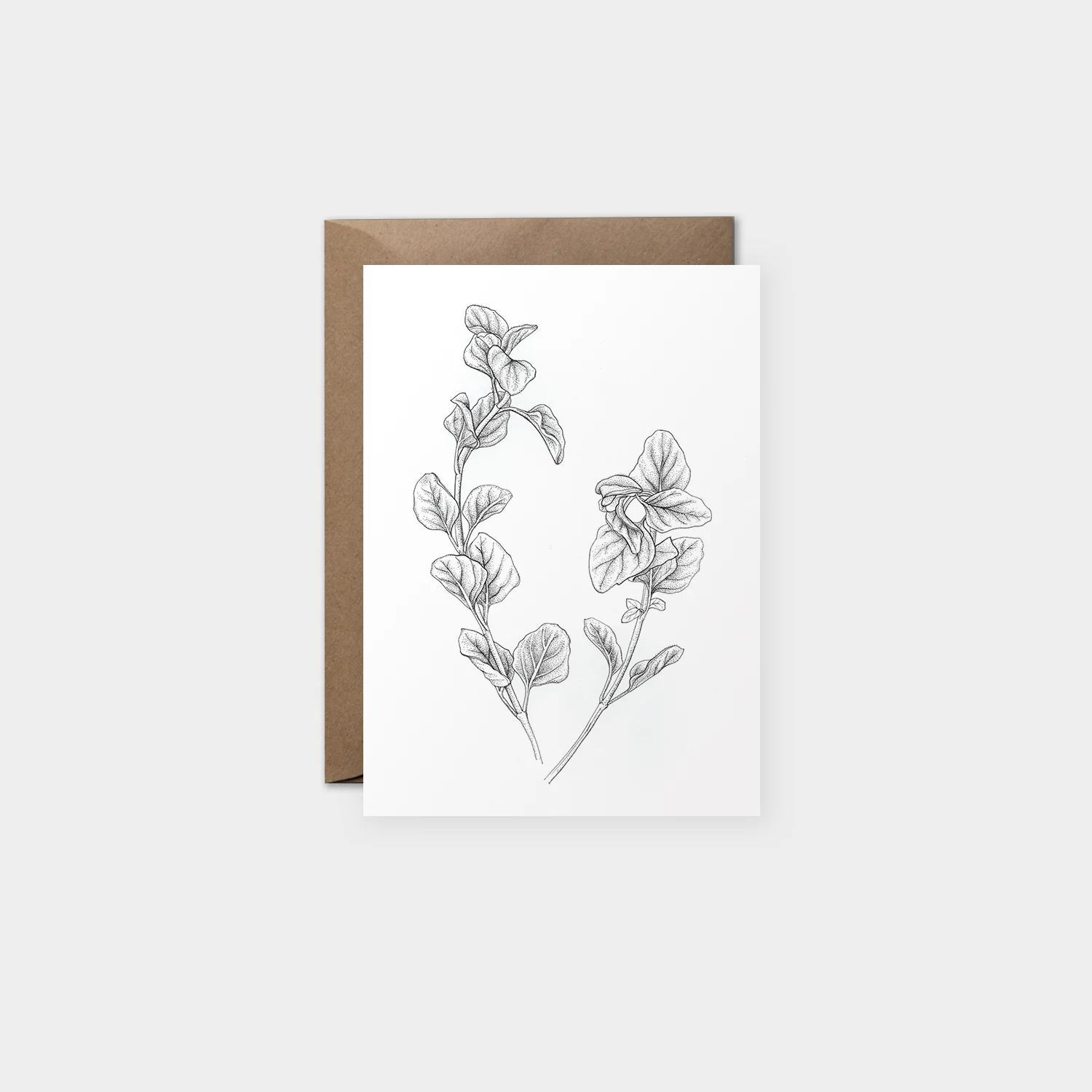 card-mockup-oregano-1500.jpg