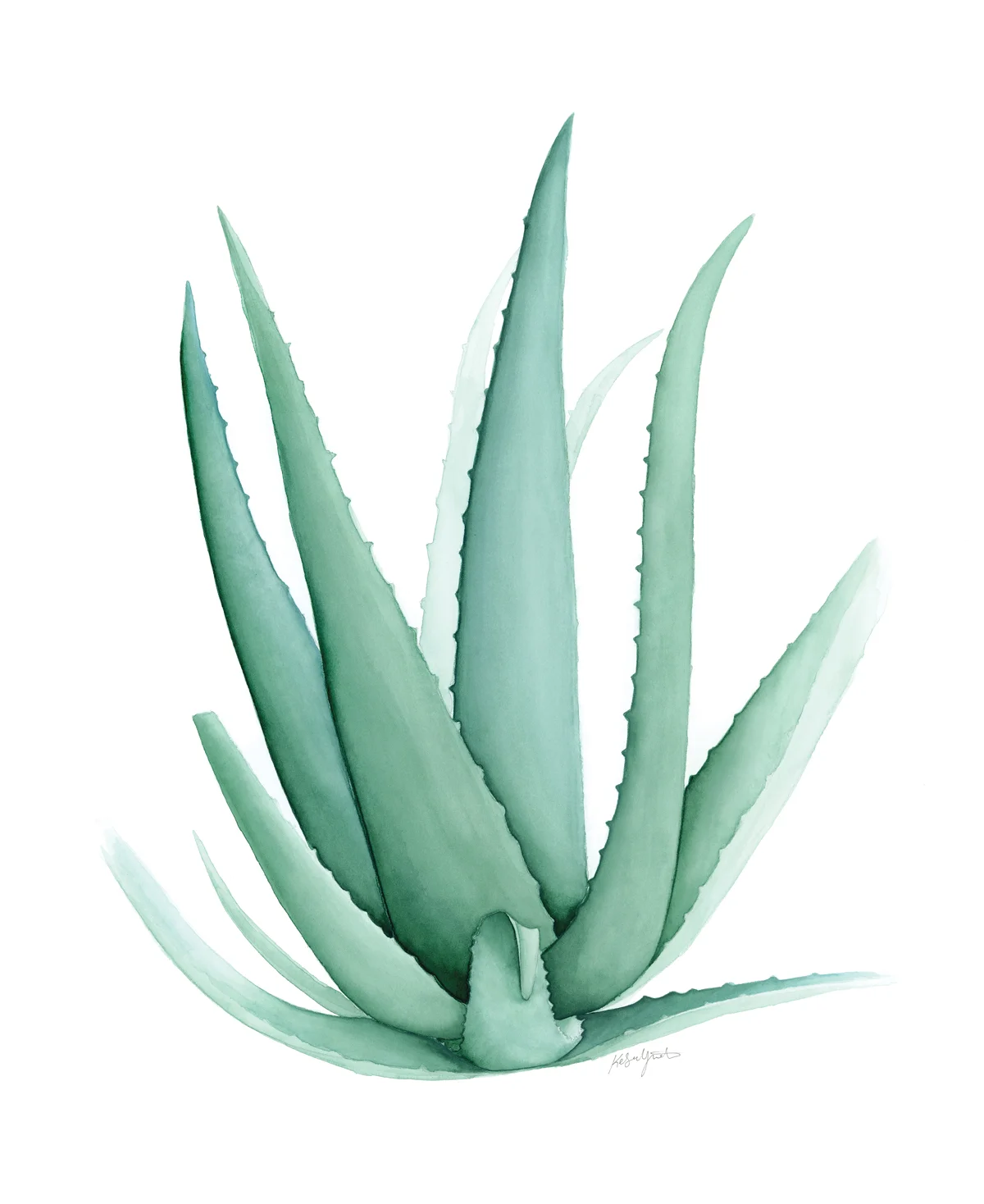 aloe-kelsey-nollette-1200.jpg