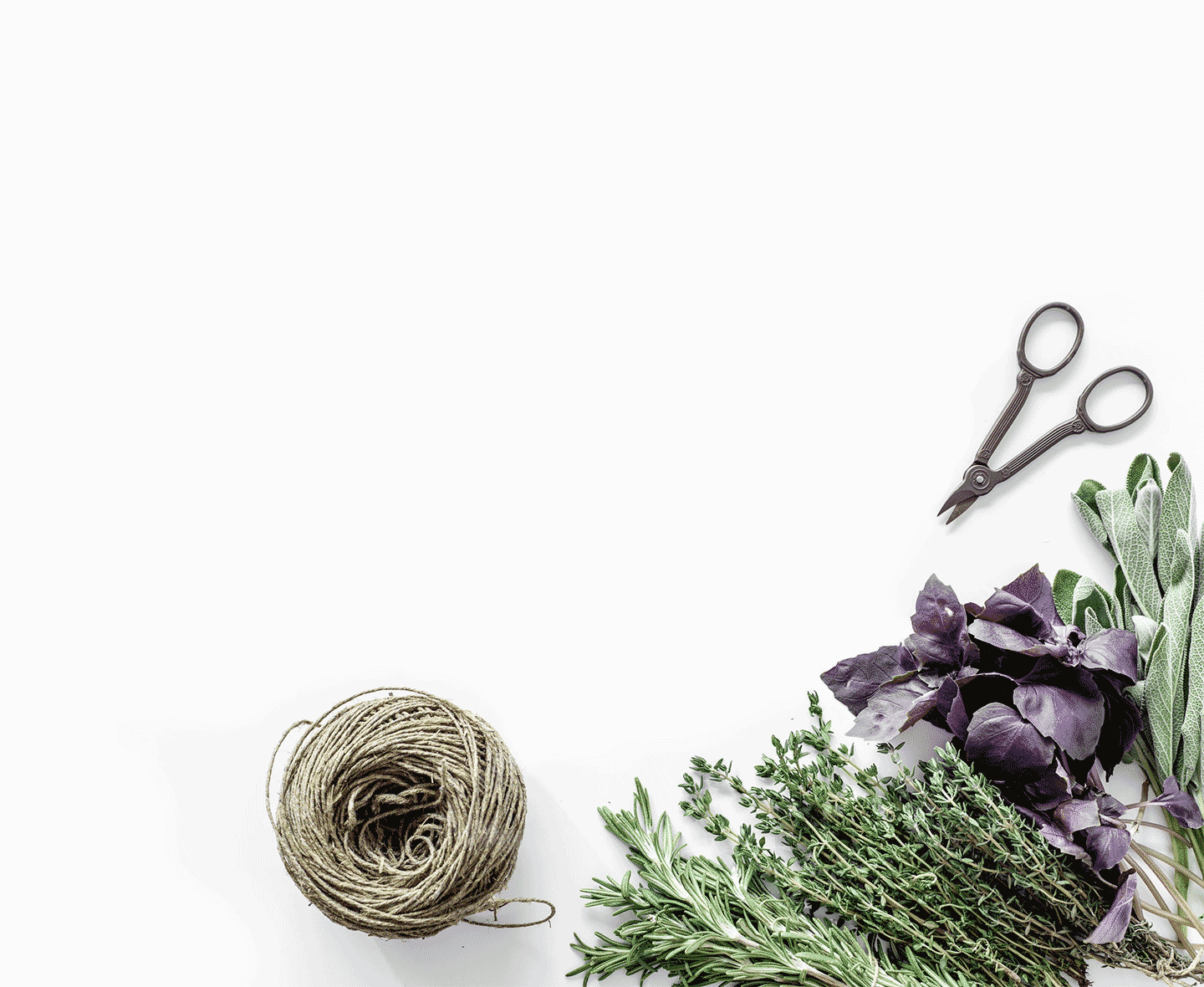 kelseynollette-seasonal-cards-opp.gif