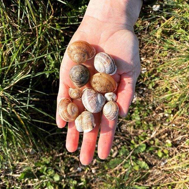 Vacationing in the countryside of Spain and visited the Greek and Roman ruins of Empuries. I&rsquo;ve taken a lot of time off from painting but still find beauty in observing tiny things around me. Maybe I&rsquo;ll save one of these beauties for when