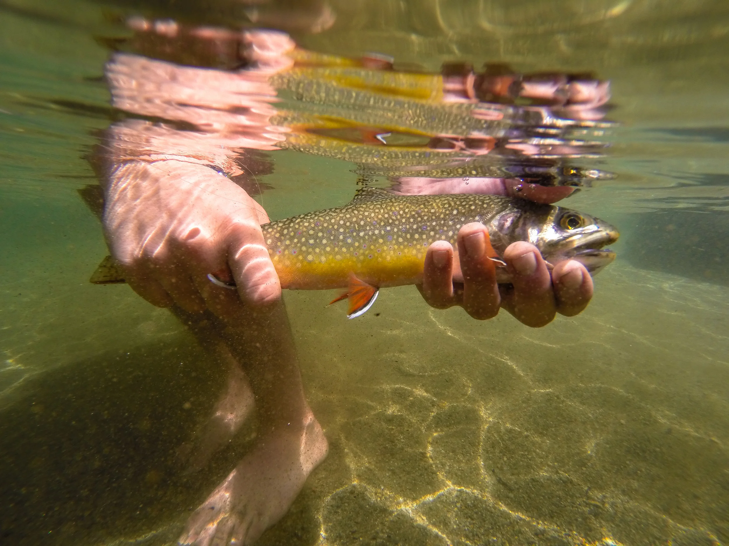 photo: Lacey Handeland