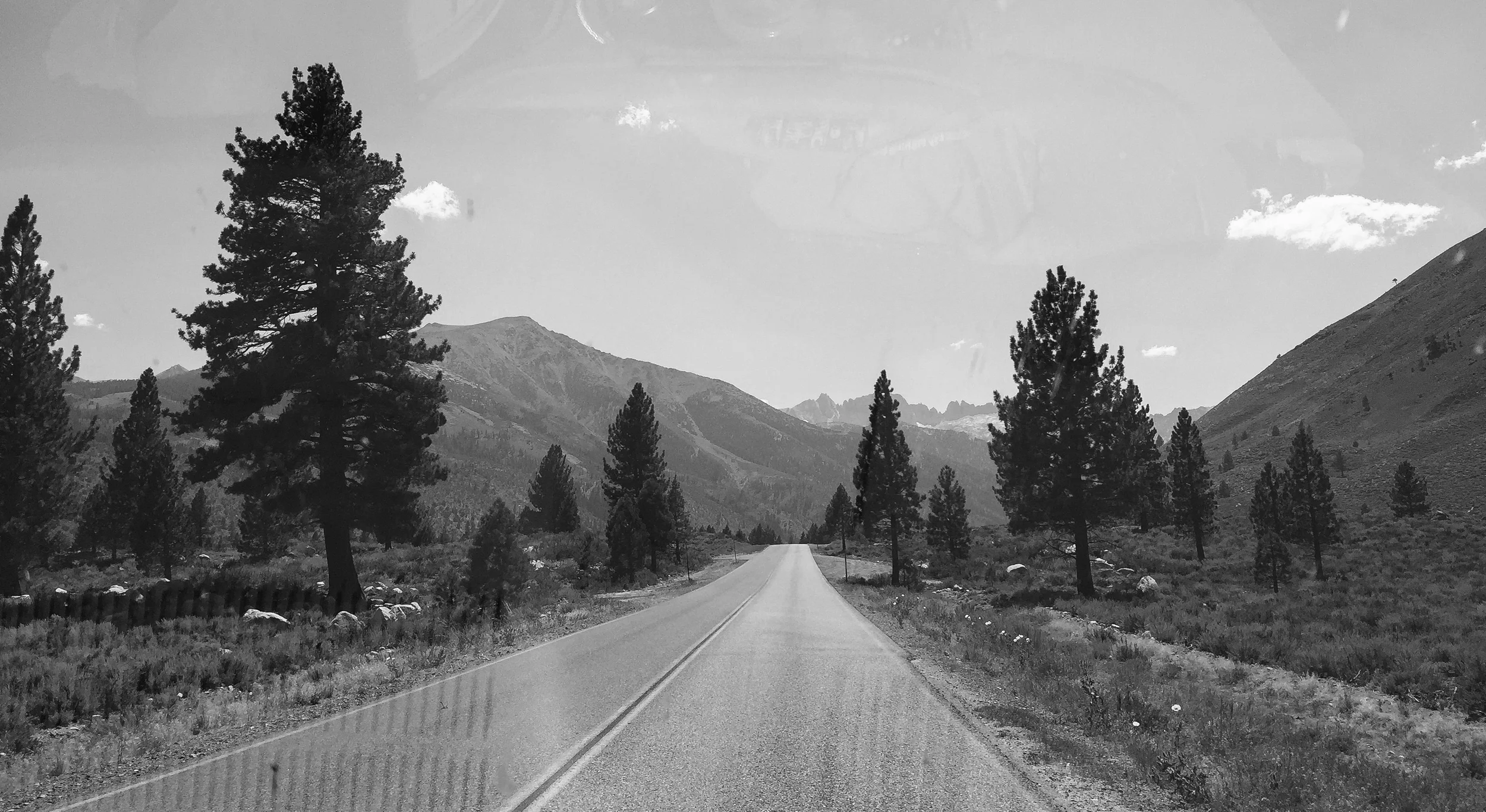 photo: Lacey Handeland