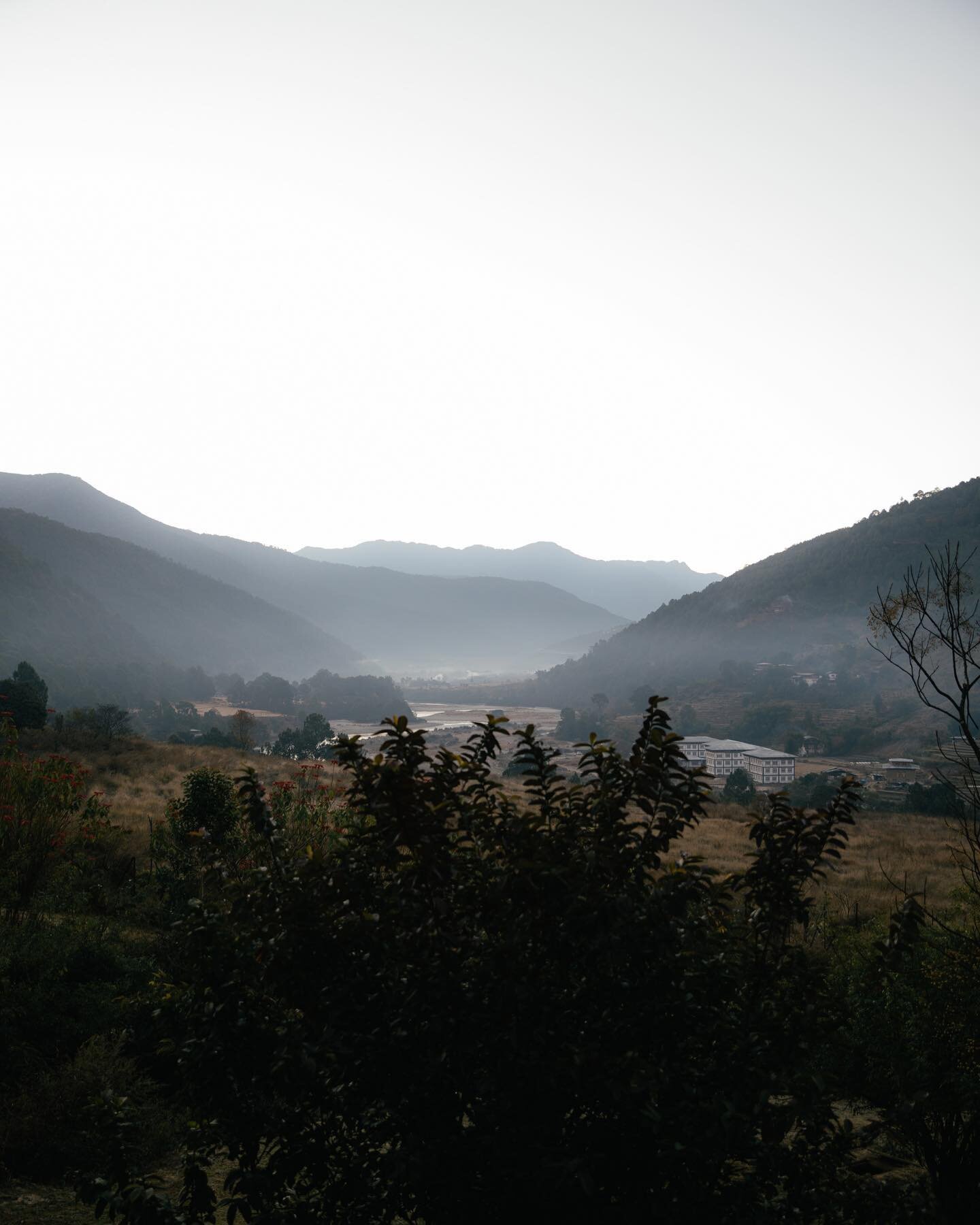 This time last year, Frame from Gangtey, Bhutan.