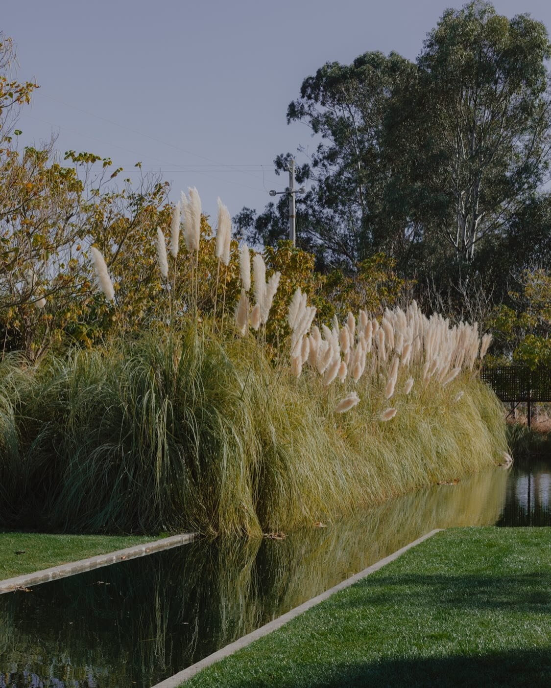 In the quiet of less, we find what truly matters
the grace of restraint, the beauty of thoughtful intention, and stories that unfold effortlessly.In the stillness of simplicity lies an extraordinary truth:
What we choose to hold back often says more 