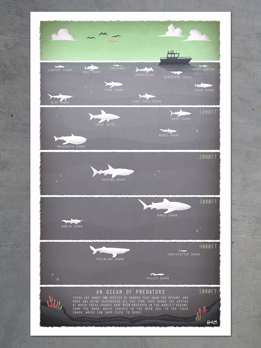 The depths at which different shark species are found.