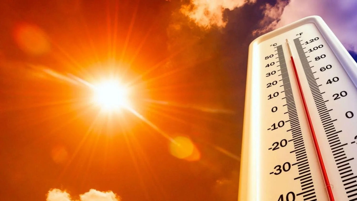 Mexico's Summer Heat Can Bite in More Ways Than One Ventanas Mexico