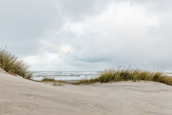 Hjemmeside2-18.jpg