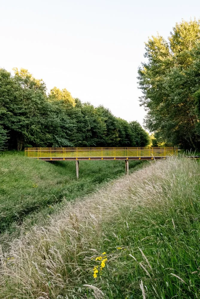 LABLAND-15.jpg