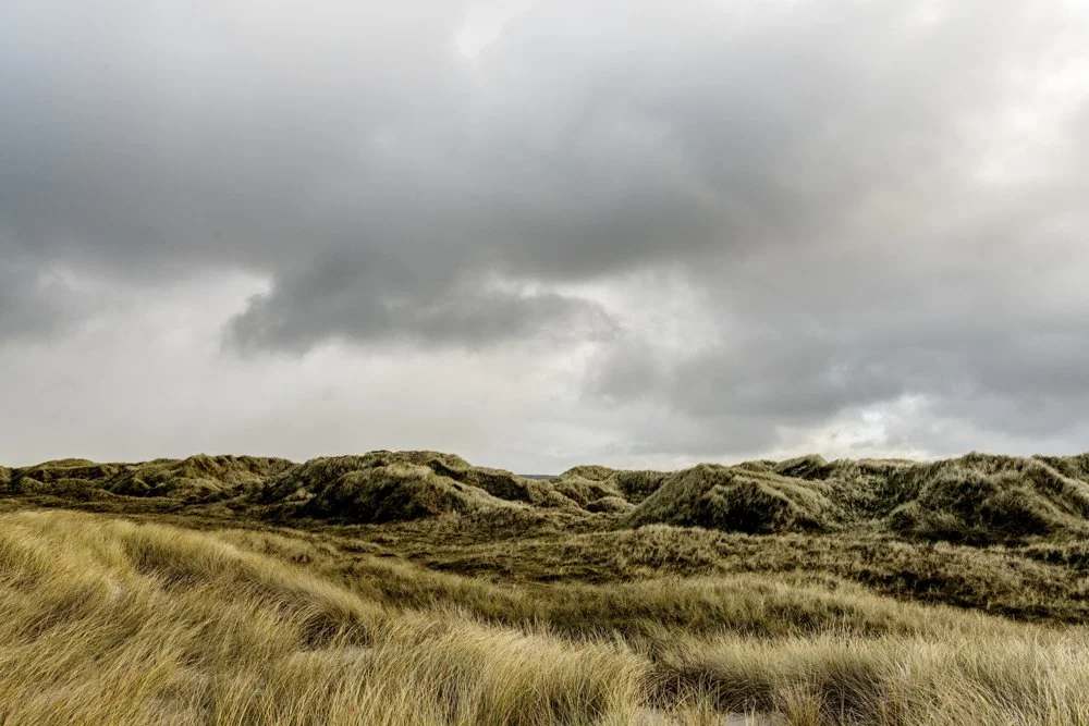 Natur Nationalpark Tranum-7.jpg