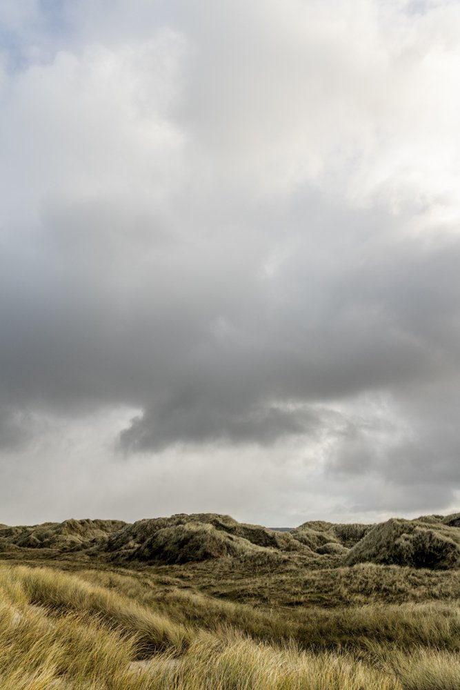 Natur Nationalpark Tranum-8.jpg