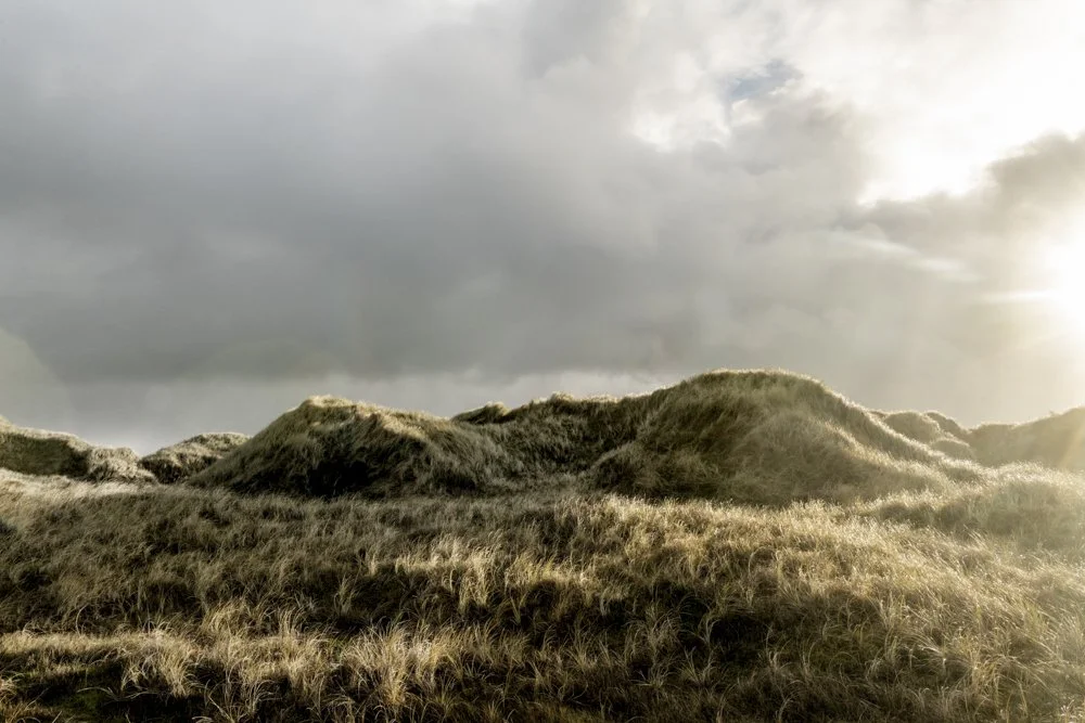 Natur Nationalpark Tranum-11.jpg