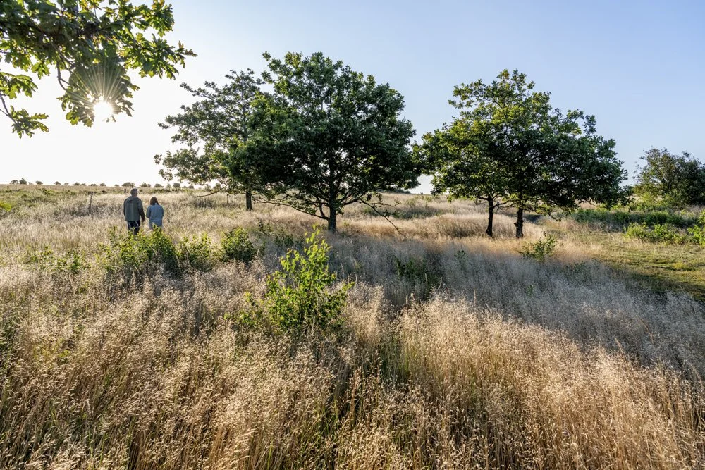Destination Himmerland-11.jpg