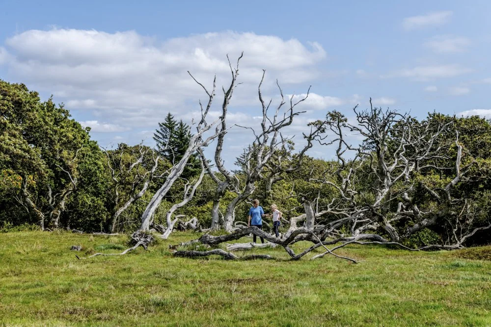 Destination Himmerland-20.jpg