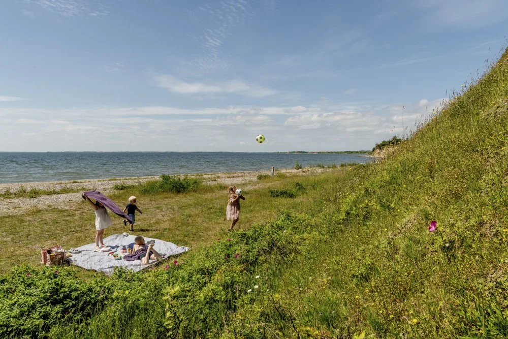 Destination Limfjorden-2.jpg