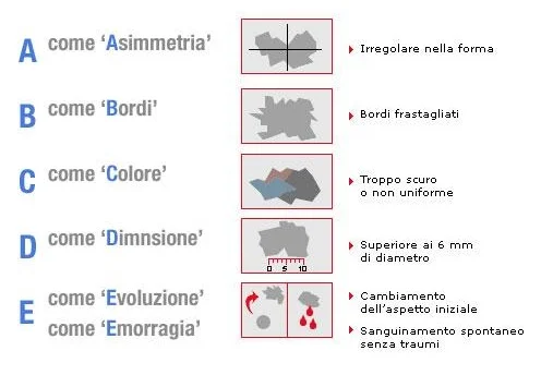 nei abcde da correggere.jpg