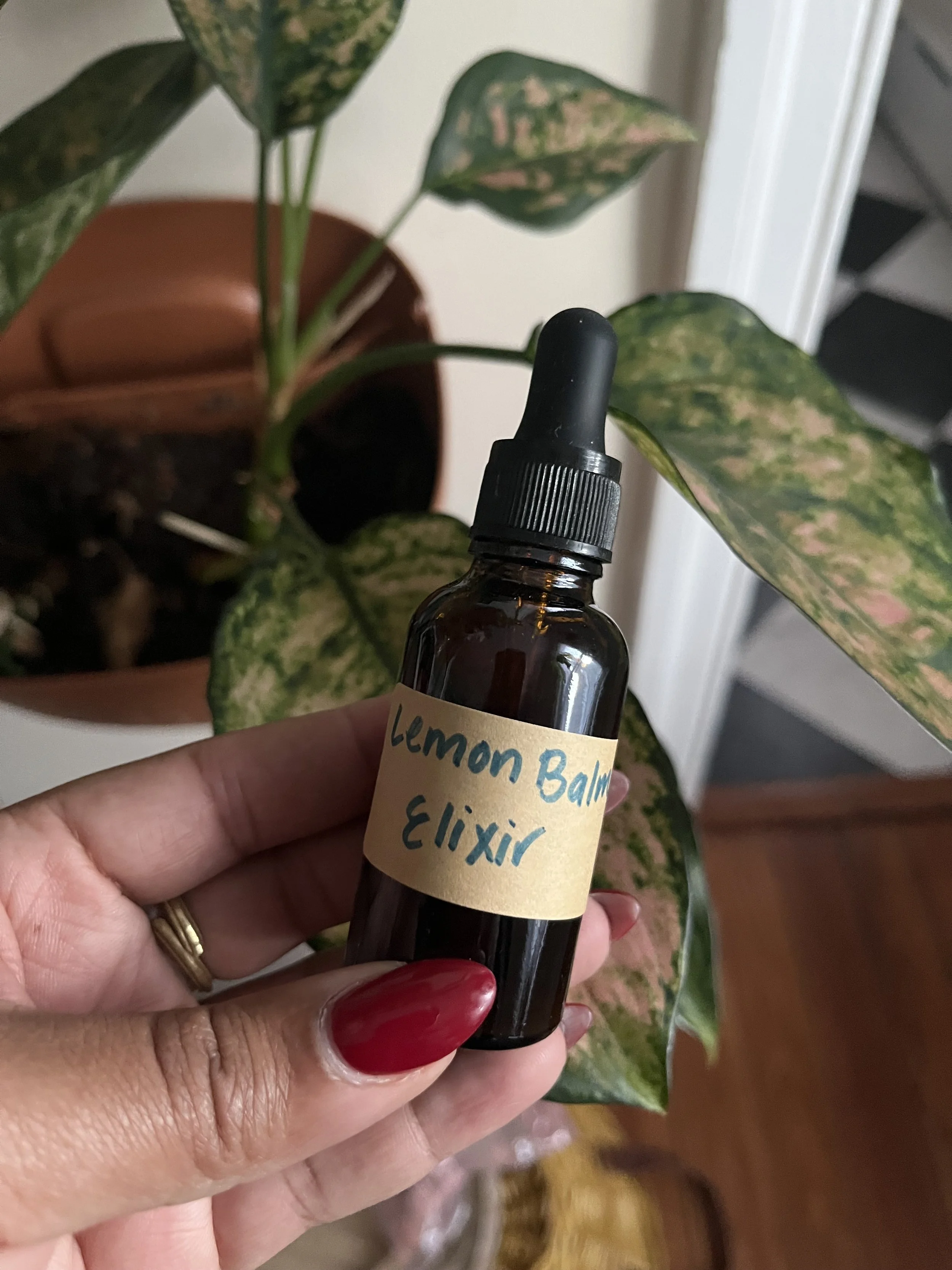 lemon balm elixir.JPEG