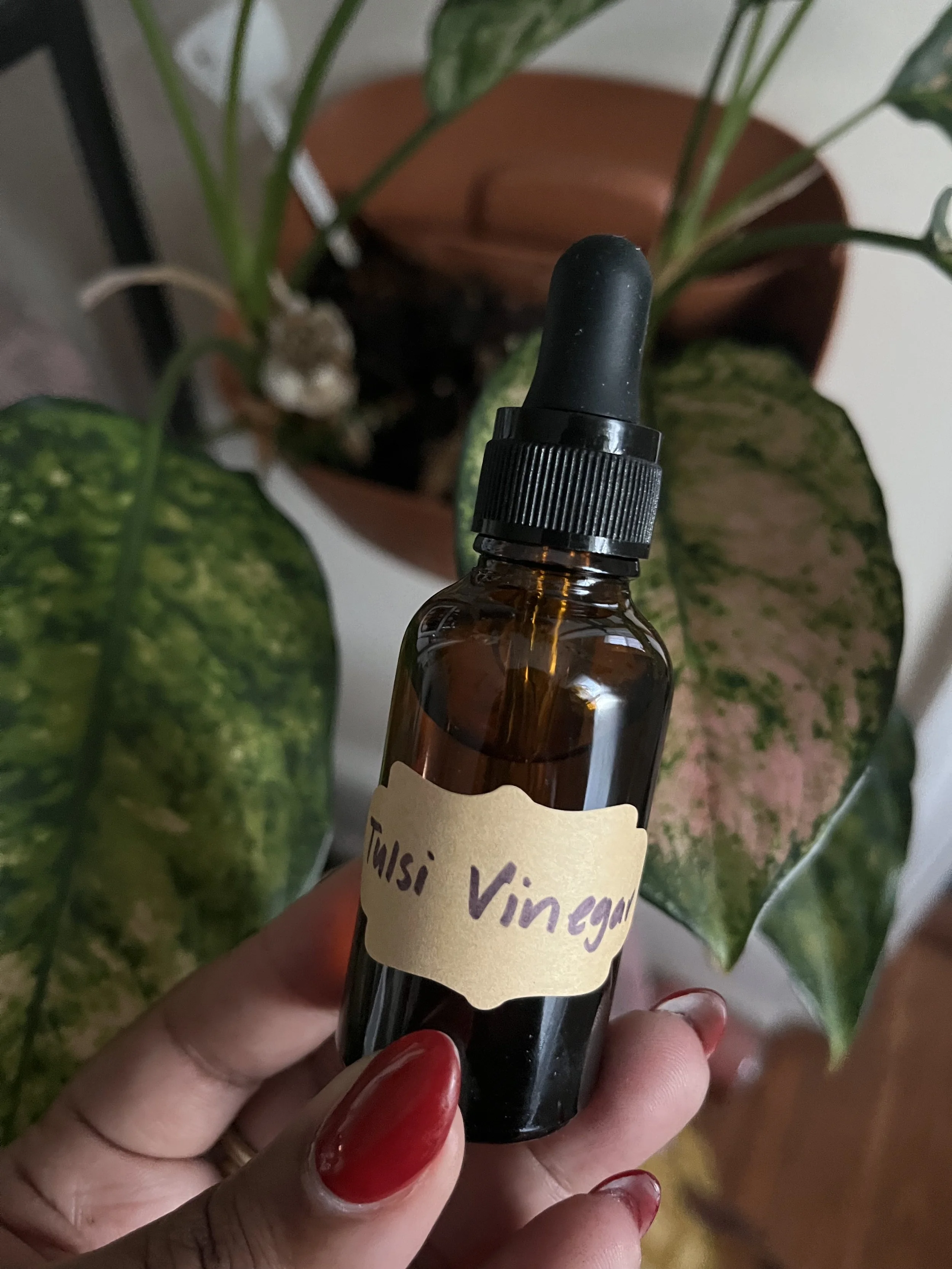 tulsi vinegar.JPEG
