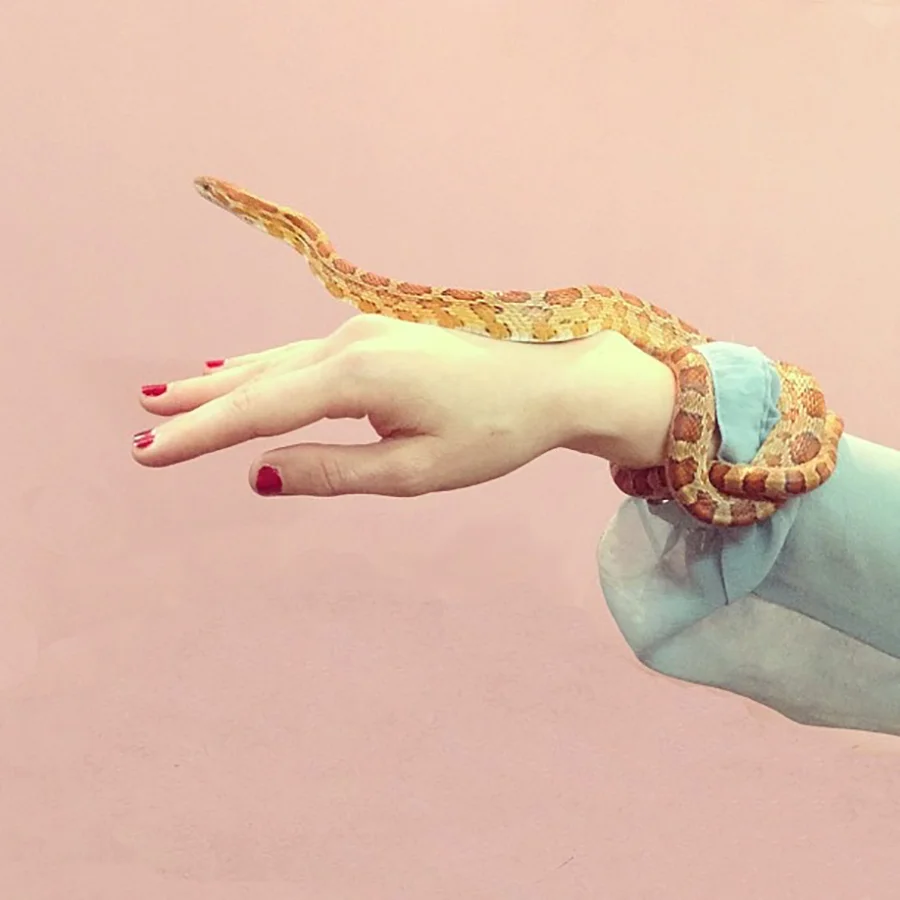 Kaa Bracelet.jpg