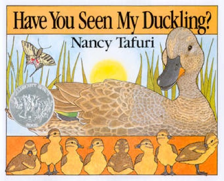 haveyouseenmyduckling?