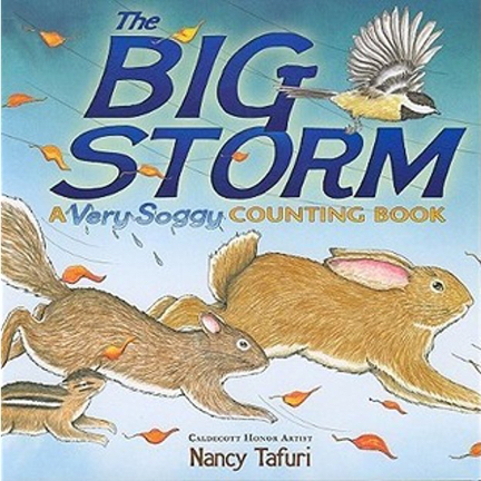 bigstorm.nancytafuri.jpg