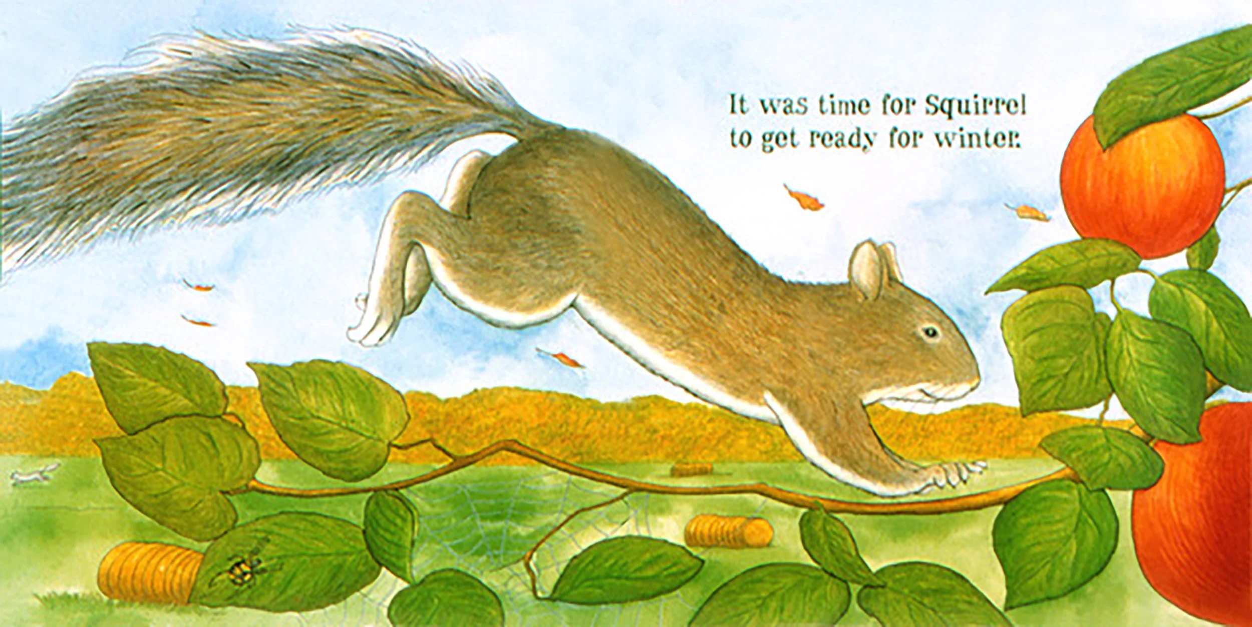 Busy Squirrel 3.jpeg