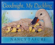 tafuri_gnmd_coverg.jpg