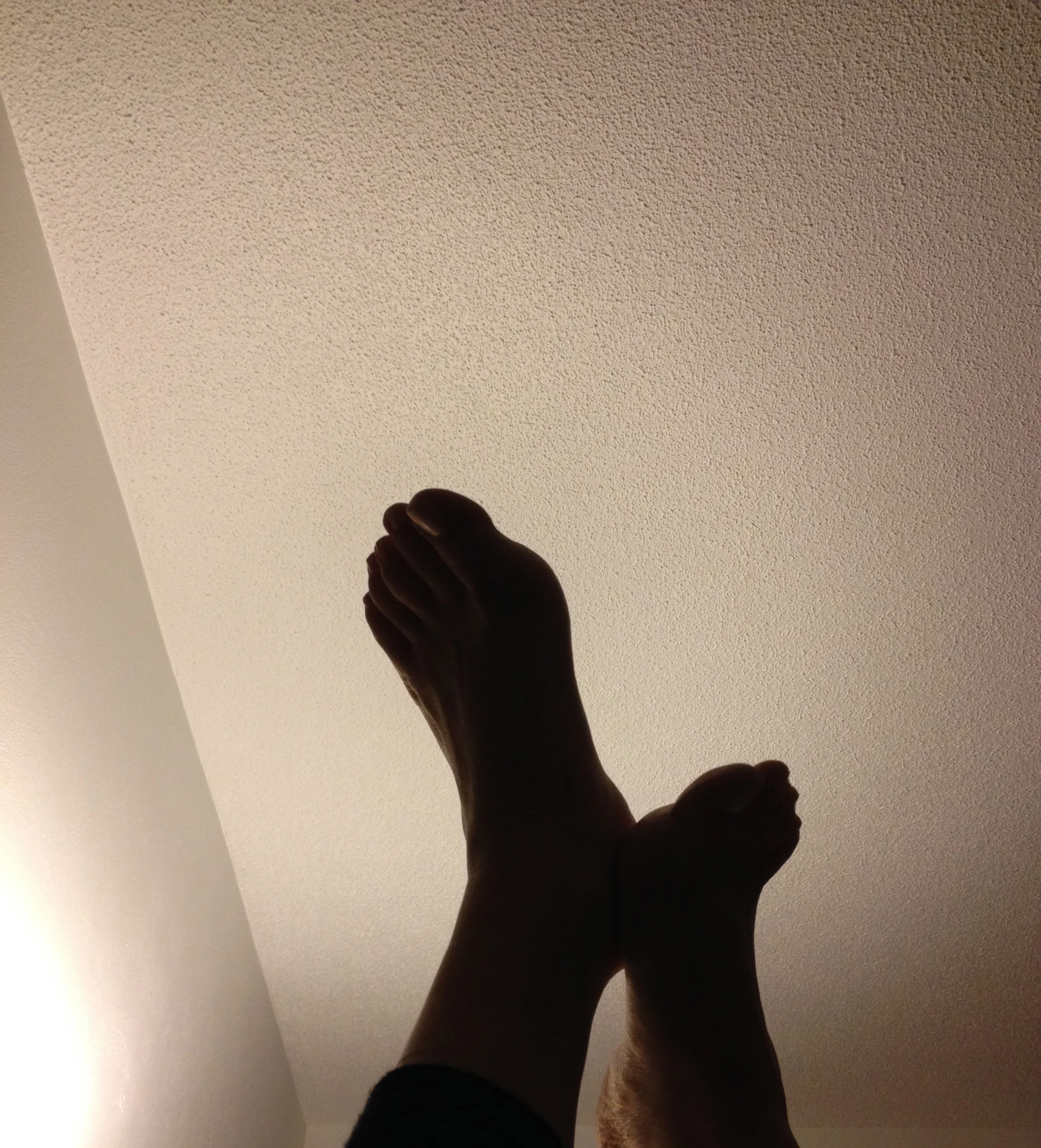 IMG_1239.jpg