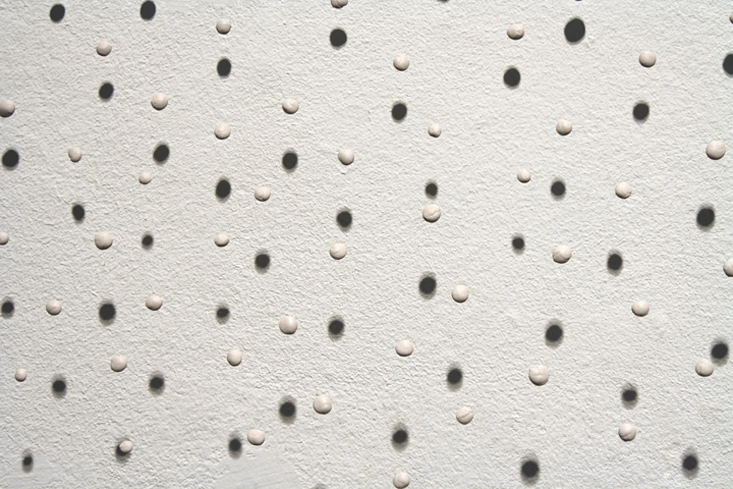 Sticks and Stones, 2010