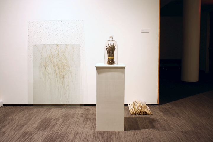 Sticks and Stones, 2010