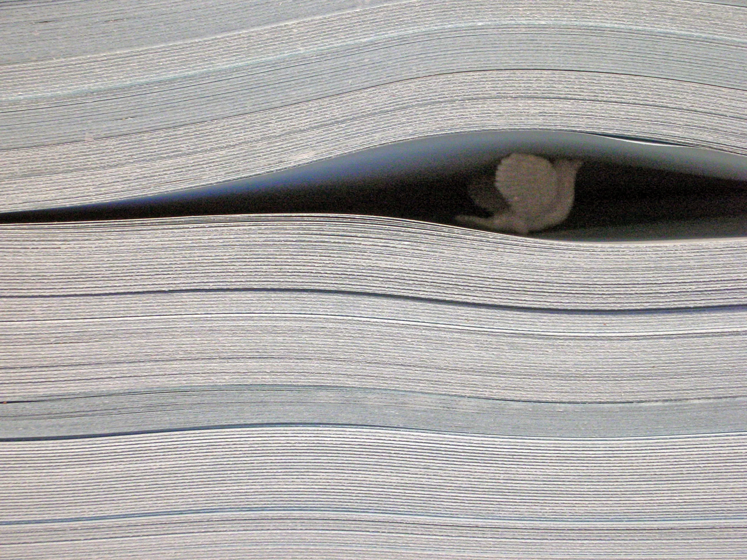 Shelf Life