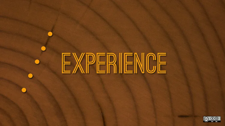 Experience versus Qualifications - Solutions to the Catch 22
