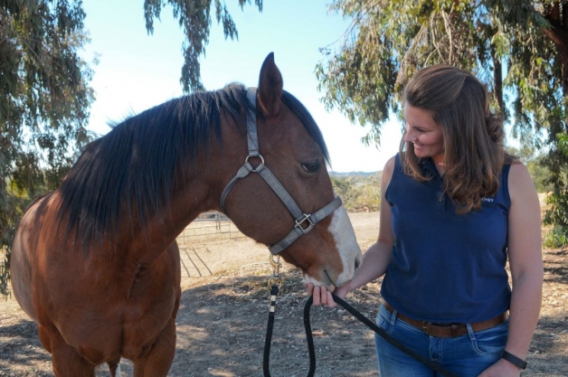 HEARTS Therapeutic Riding Center manager Devon Sachey works with Sage, a Paint quarter horse — one of a dozen at the Santa Barbara facility. “If you come in with a lot of anxiety, the horses aren’t judging you,” she says. “They absorb the energy you present.” (Lara Cooper / Noozhawk photo)