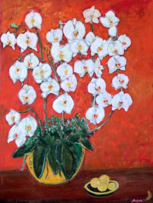 Phalaenopsis, by Dr. Daniel Joseph