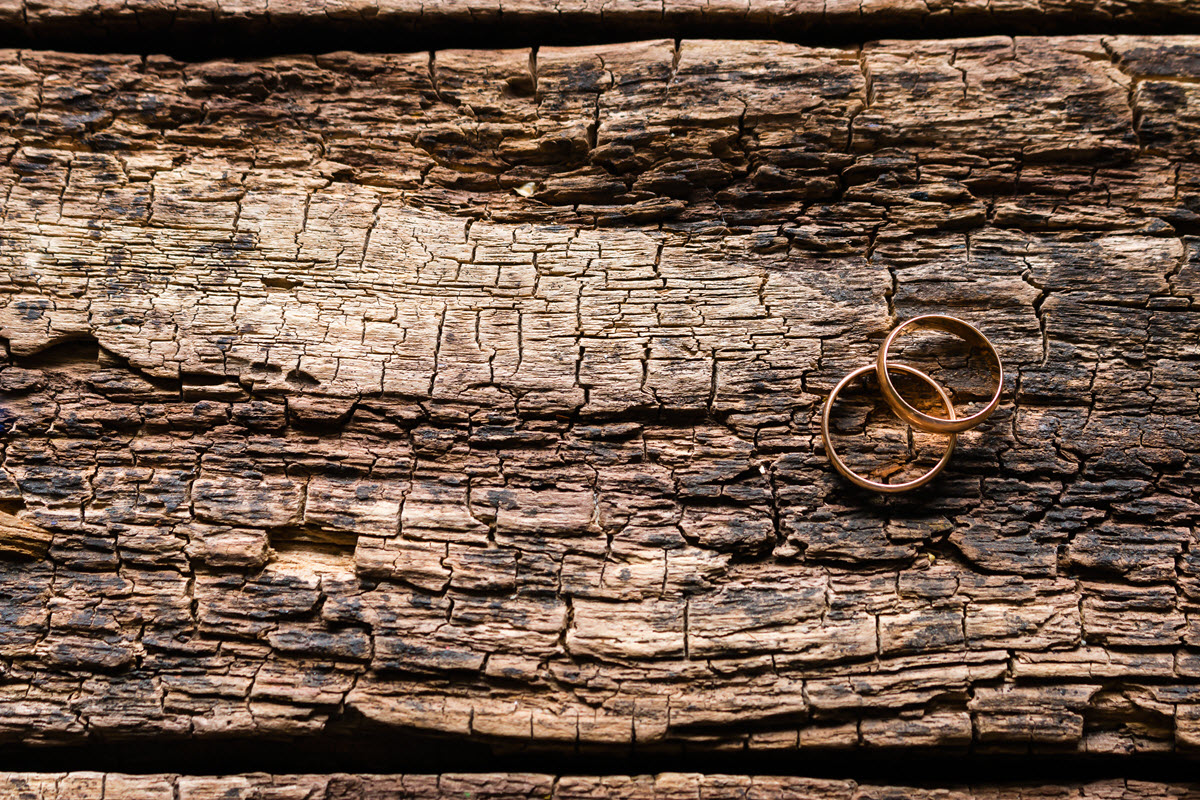 AdobeStock_114061798.jpeg