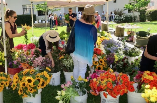 Volunteers and guests create bouquets