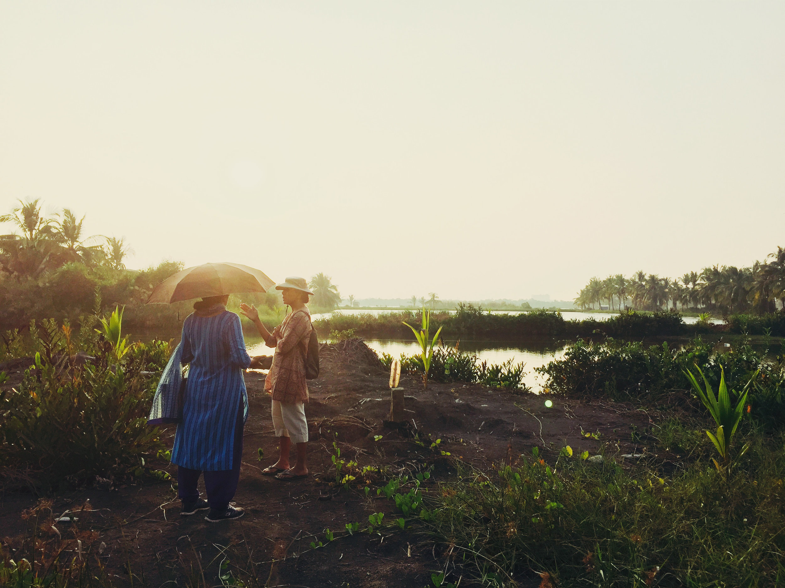  Anna Panangaden and Mary Mathew survey marshland in Kerala, India.&nbsp; 