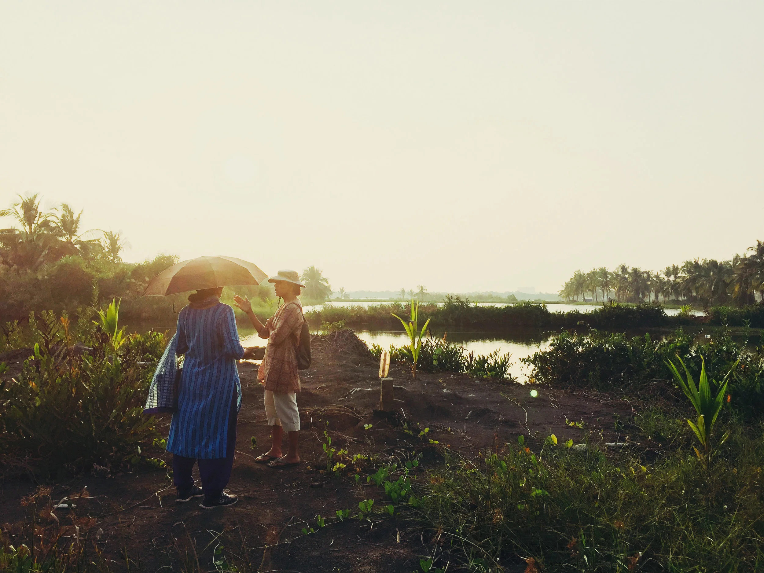 Anna Panangaden and Mary Mathew survey their marshland in Kerala, India. 