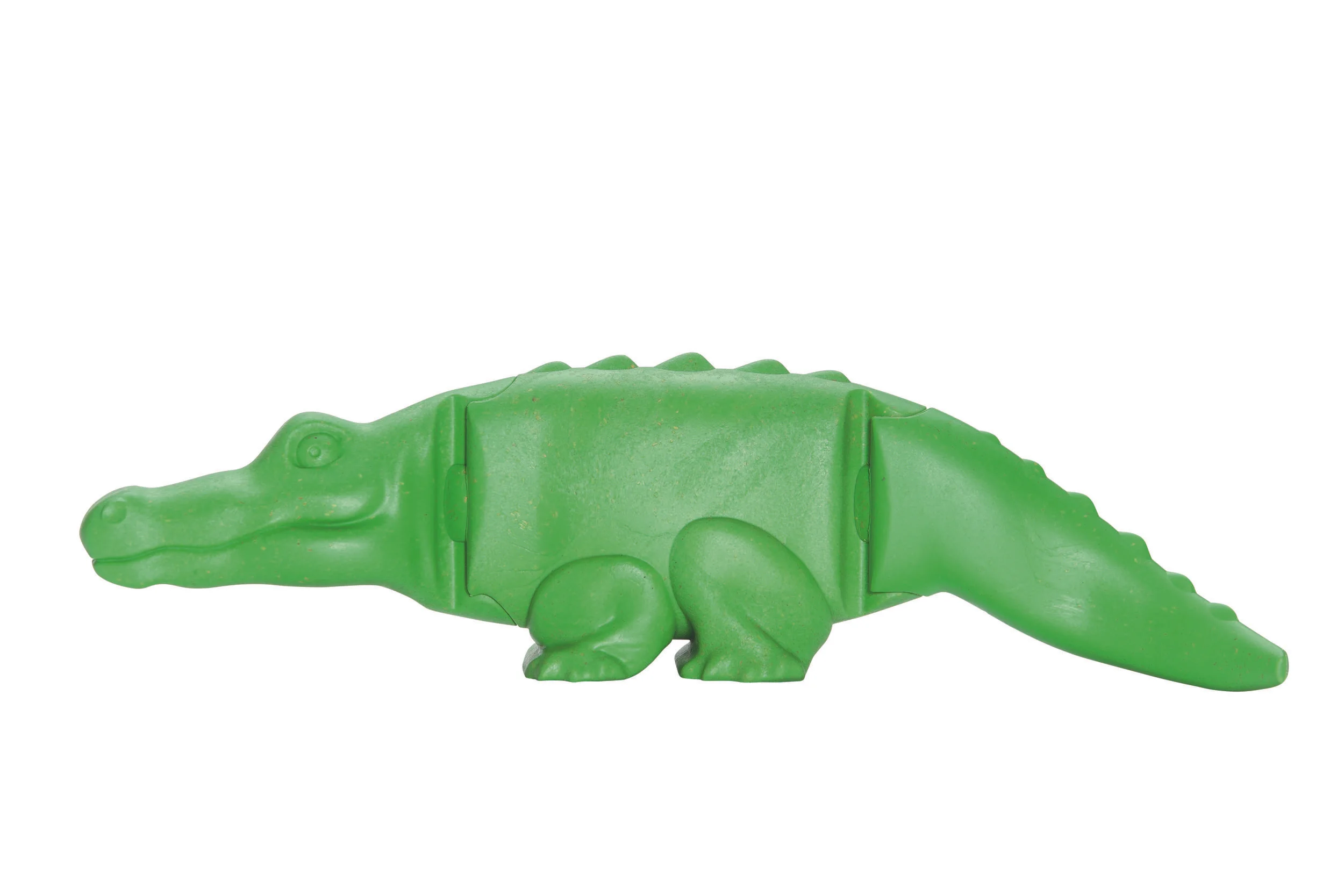 70072_crocodil.jpg