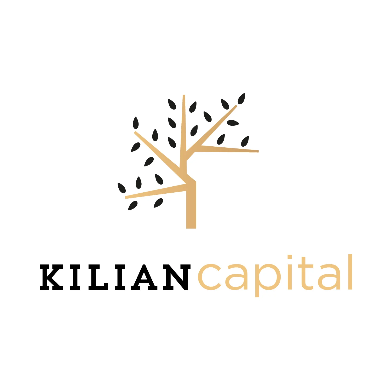 160204_kilian2.jpg
