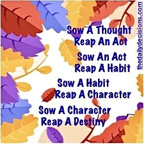 Image 8-10-20 at 11.06 AM.JPG