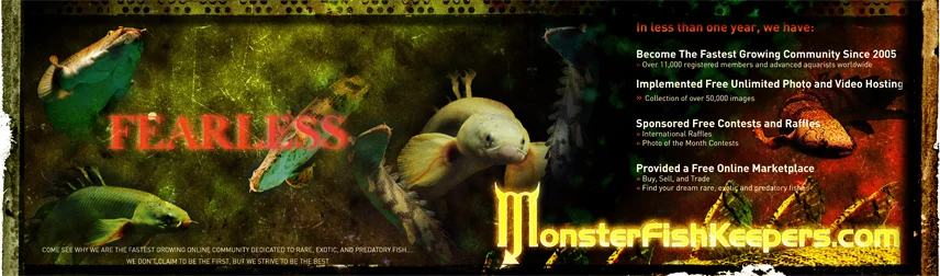 banner for advertisment