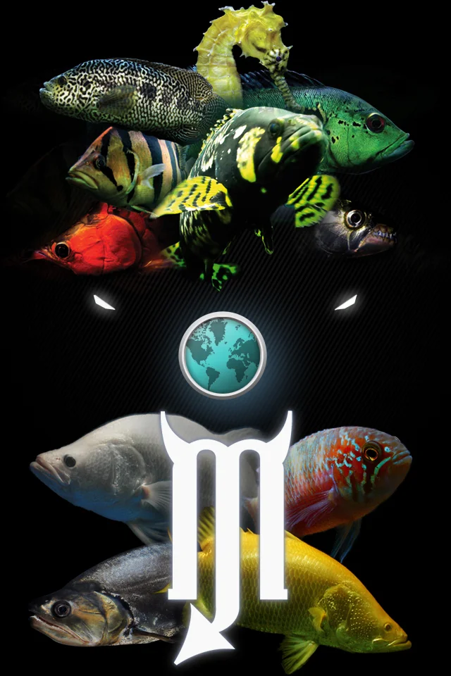 mobile app splash page