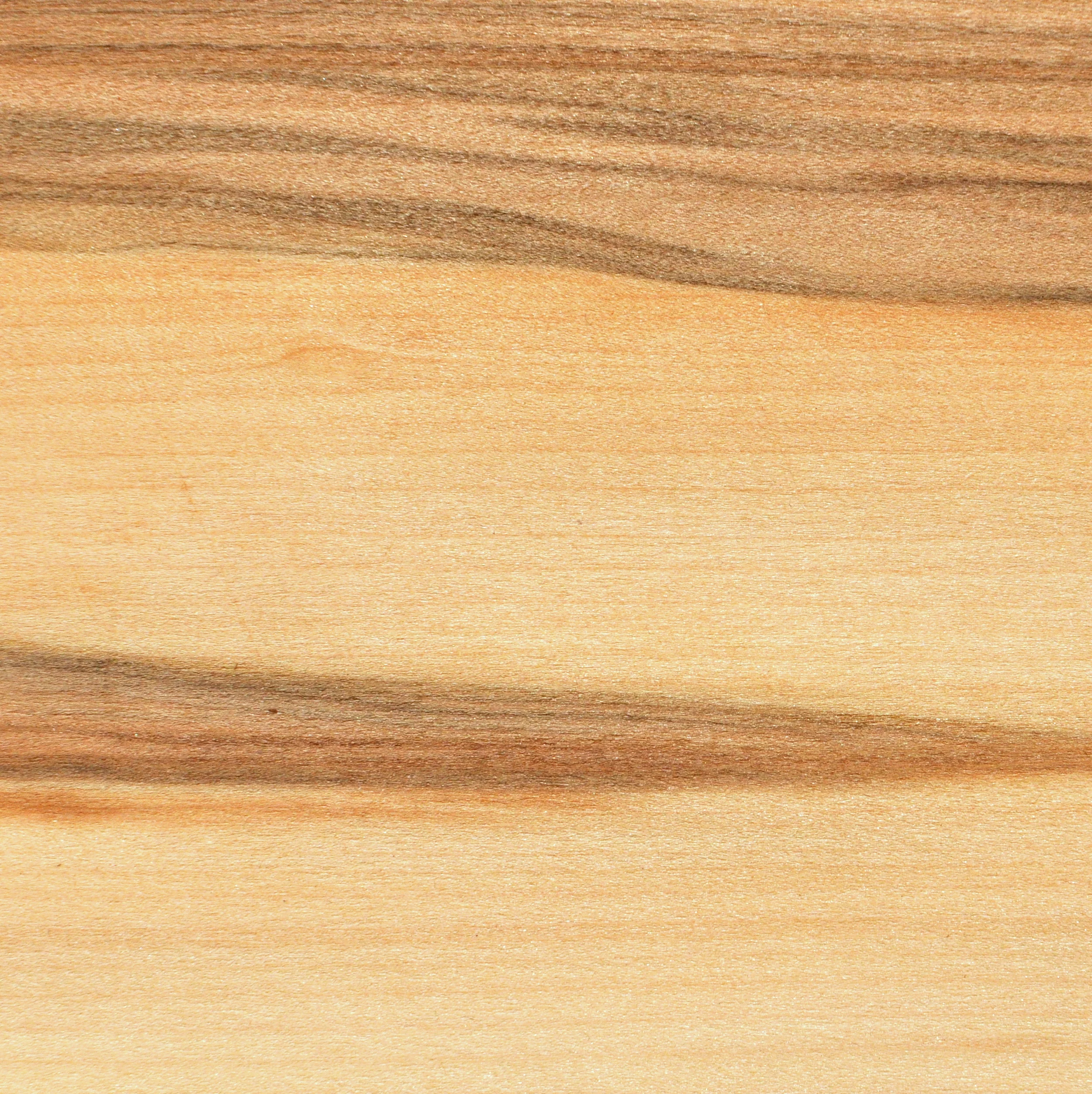 Black Heart Sassafras 1