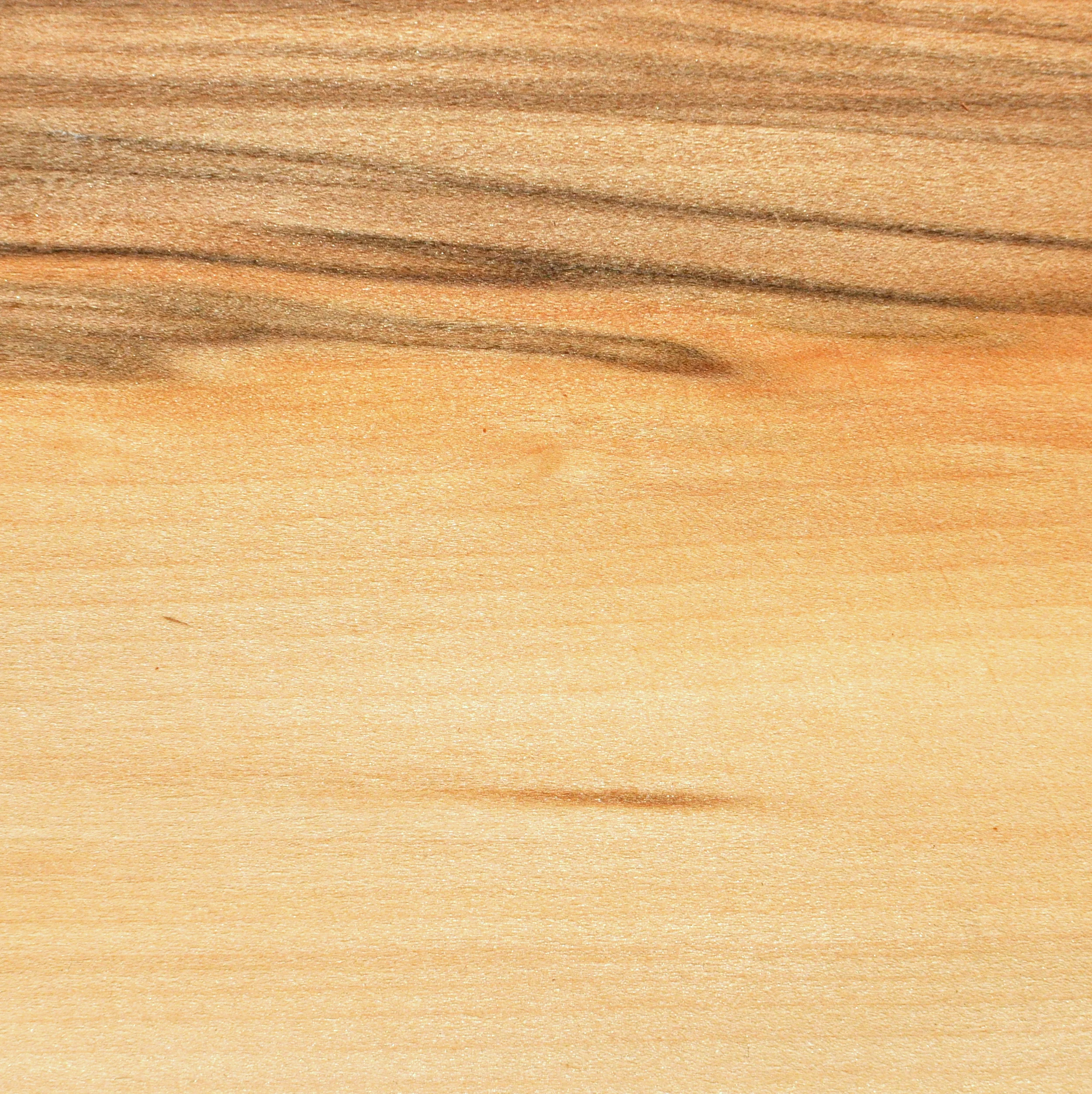 Black Heart Sassafras 2