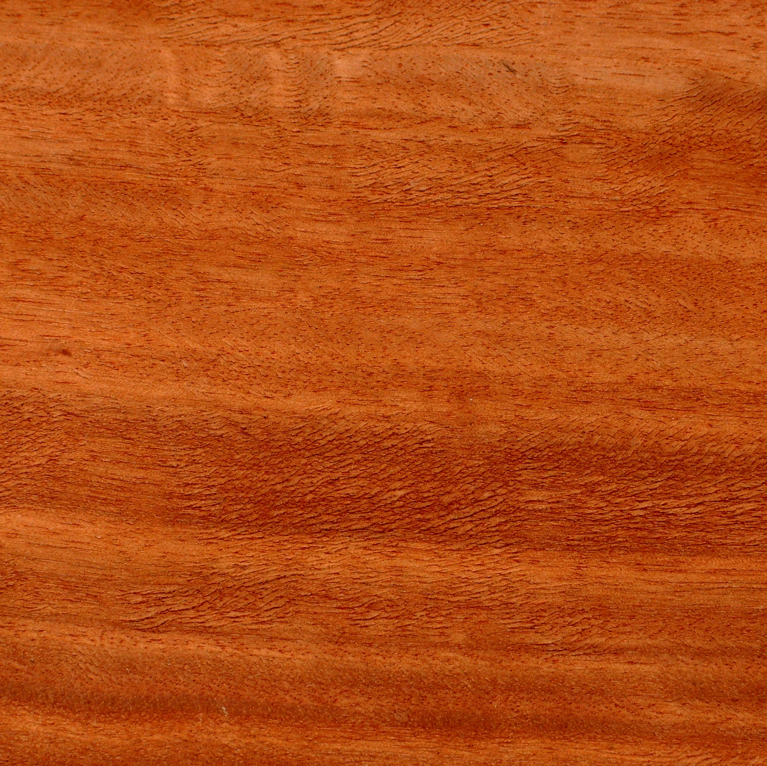 Red Gum